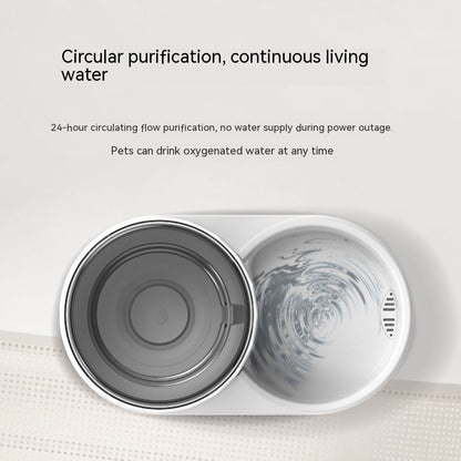 2-in-1 Automatic Pet Water Fountain & Feeder — Fresh Water, Full Bowl, Zero Stress