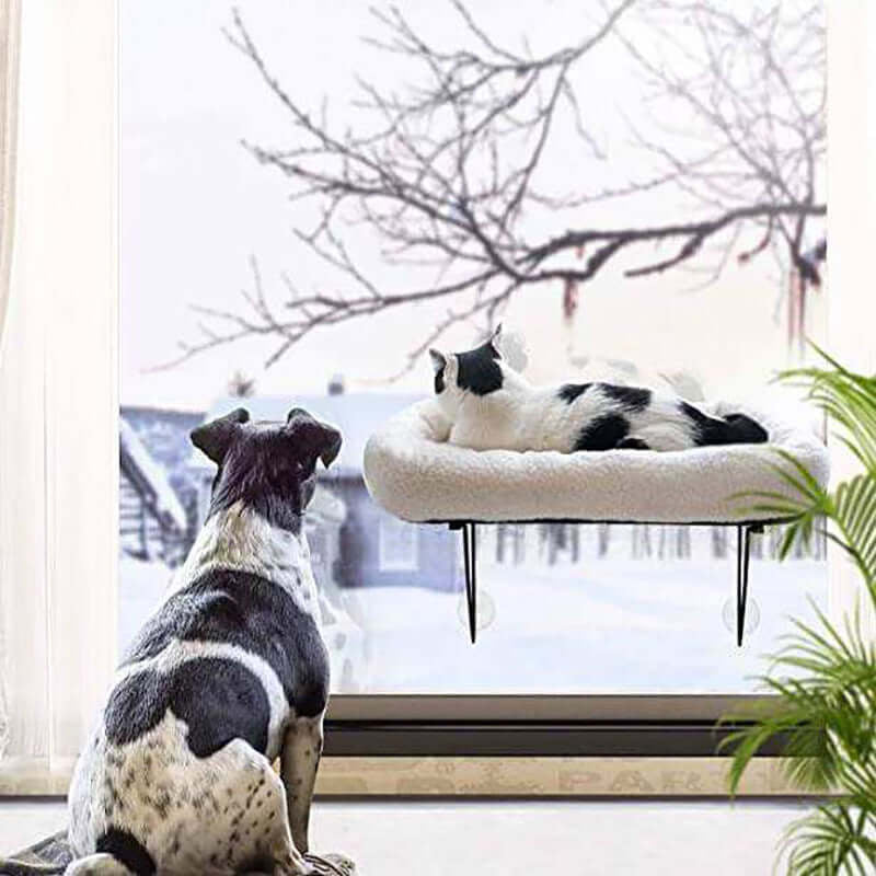 Window Cat Hammock with Suction Cups — Give Your Cat the Best Seat in the House