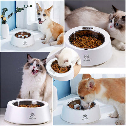 Smart Weighing Slow Feeder Bowl — Precise Portions, Slower Eating, Healthier Pets
