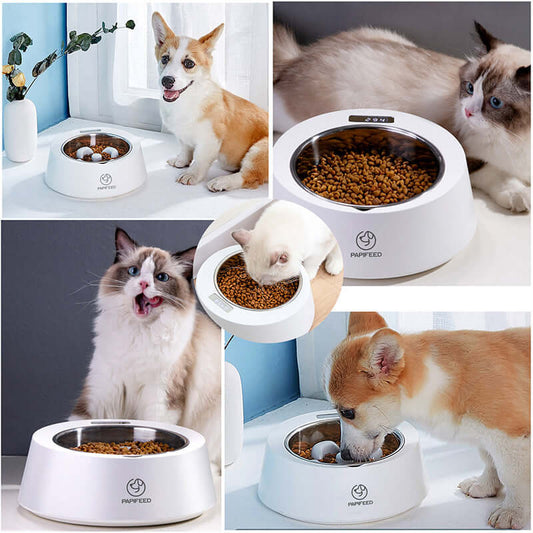 Smart Weighing Slow Feeder Bowl — Precise Portions, Slower Eating, Healthier Pets