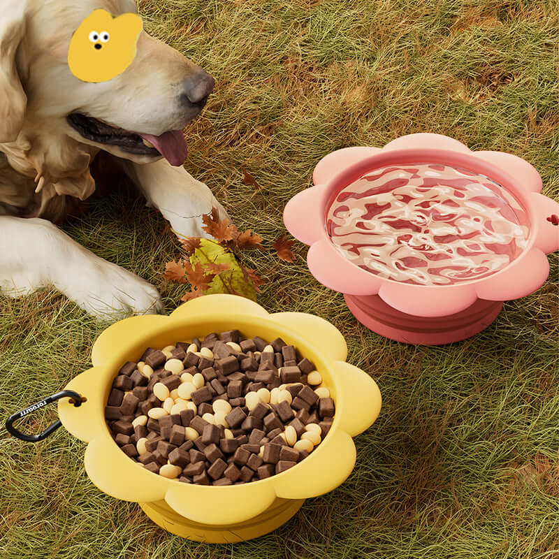 Collapsible Silicone Travel Pet Bowl — Feeding on the Go Has Never Been Easier